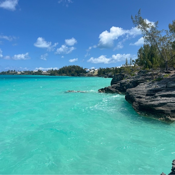 Meet your Posher, Trisha - Picture 1 of 1